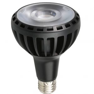 E27 PAR30 25W 6000K LED SIJALICA