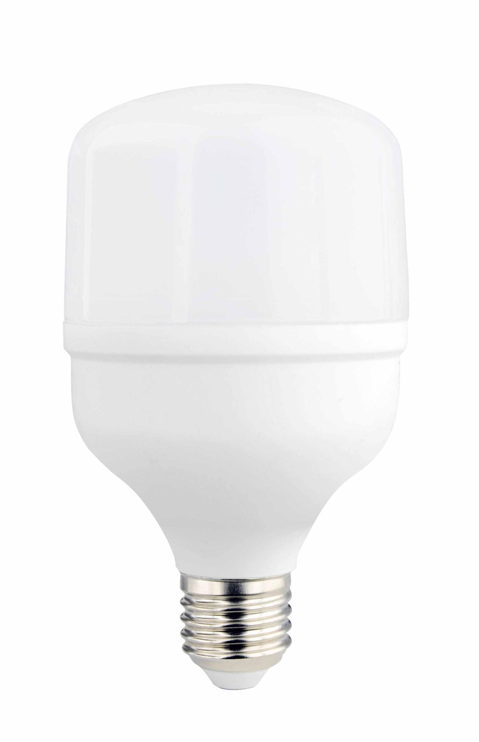 T80 E27 24W 4000K LED SIJALICA