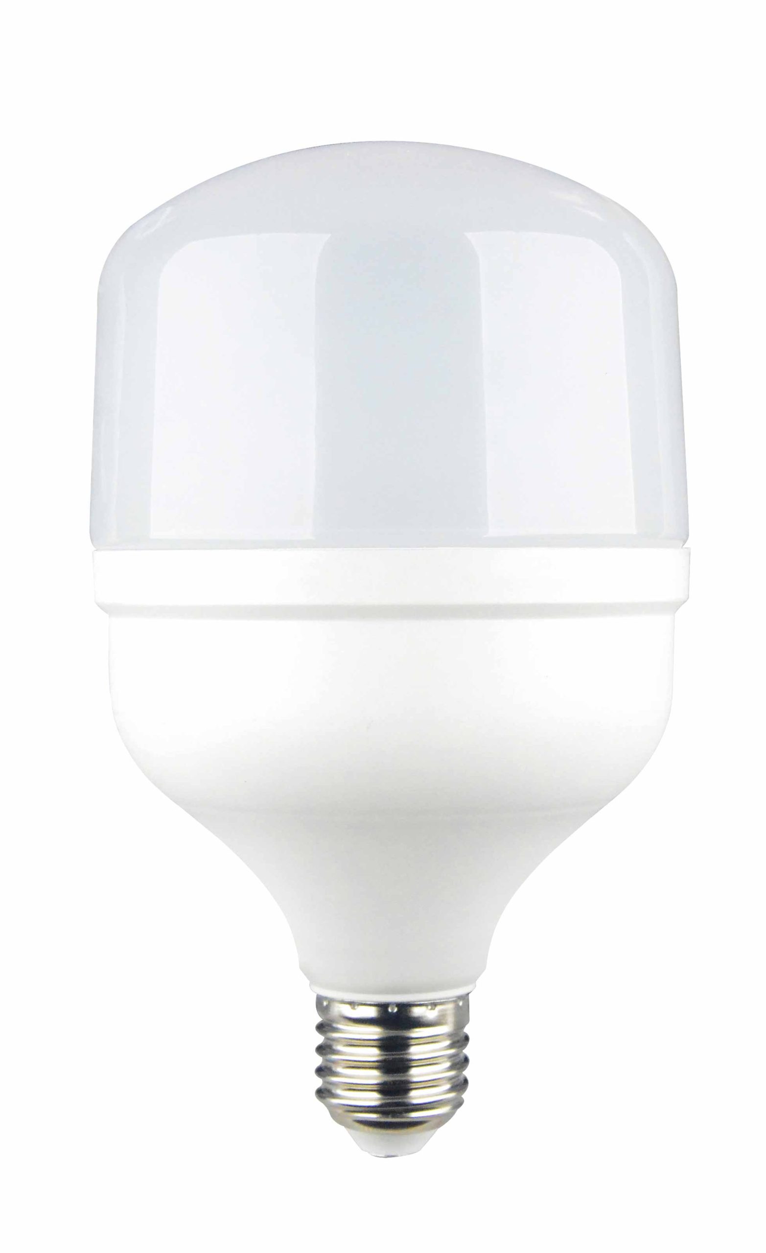 11893.jpg T100 E27 30W 6000K LED SIJALICA