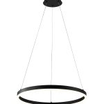 LED Pendant Lamp 22W Black
