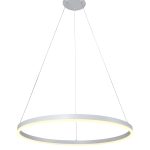 LED Pendant Lamp 22W White