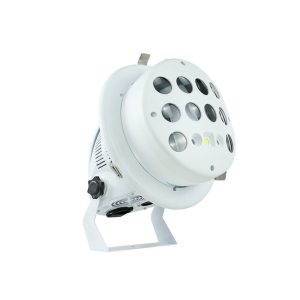 Fully Embedded Butterfly Laser