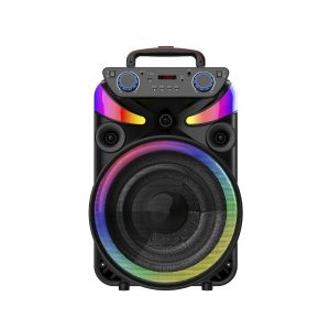 Portable Party Bluetooth Speaker 1x15inch